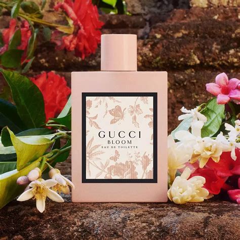 gucci bloom perfume cheap.